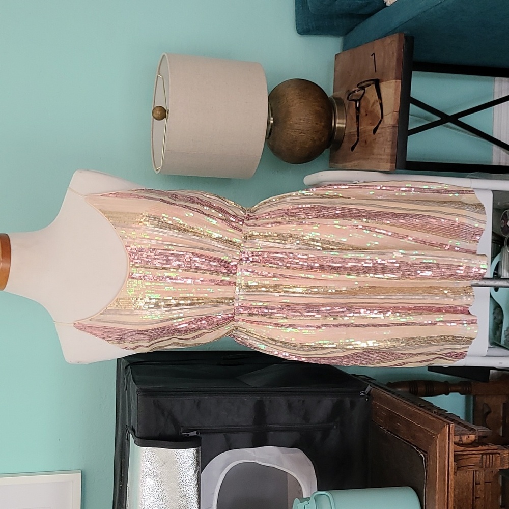 Stripe Sequin Dress